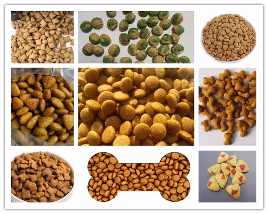 Trockene Haustier-Katzen-Fischfutter-Extrusionsausrüstung, Pflanze, Tier, schwimmende Lebensmittelherstellung, Verarbeitung, Extrudermaschine, Haustier-Hundefutter, Pellet-Produktionslinie, Preis