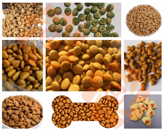 Hochleistungs-Produktionslinie für Haustier-Trockenfutter für Hunde, Extruder, schwimmende Fischfutter-Pellet-Herstellungsverarbeitungsmaschine